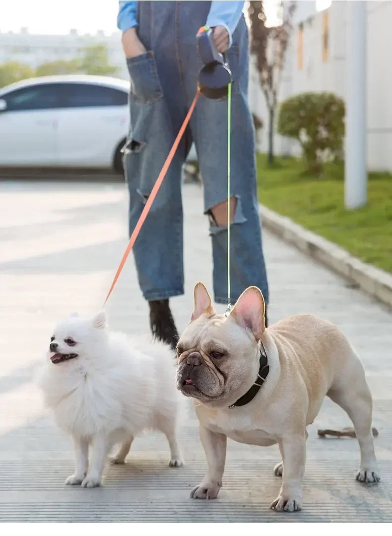 Coleira Retrátil Dupla